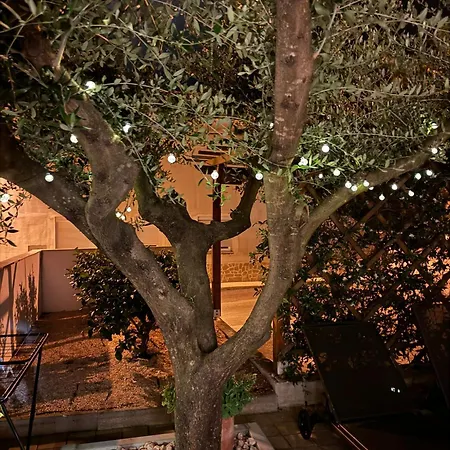 Noa