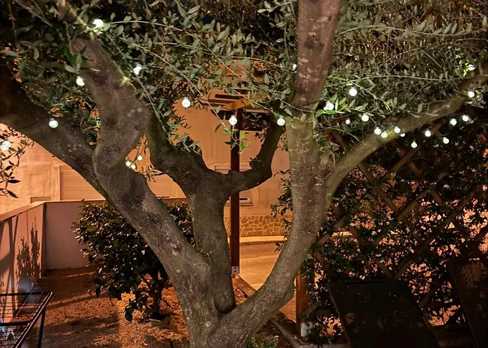 Noa